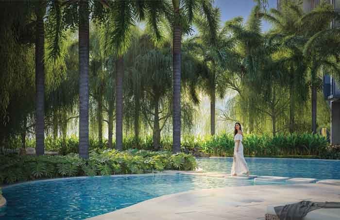 Avatara Ace The Forest Kingdom Thane